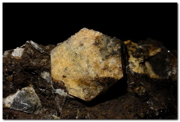 Magnesita.
Cristal de 2,5 cm.
(Autor: Rafa Muñoz(mineralvarado))