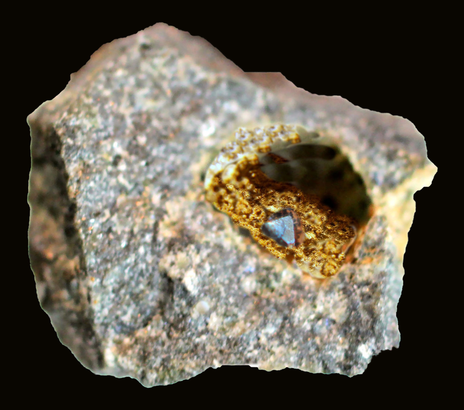 Magnetita
18 x 15 x 11 mm.
(Autor: José Luis Zamora)