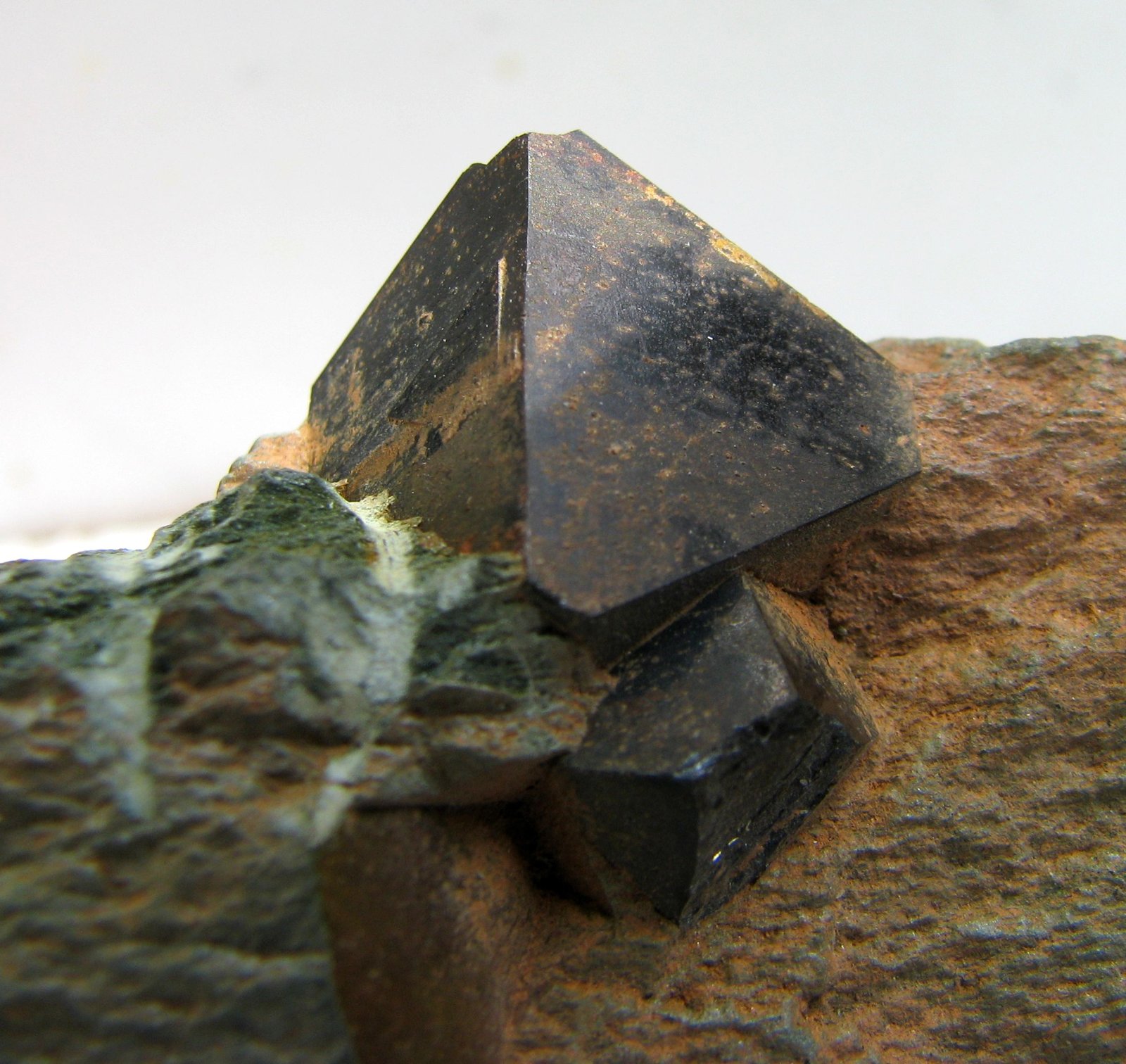 Magnetita
175 x 56 x 30 mm.
(Autor: José Luis Zamora)