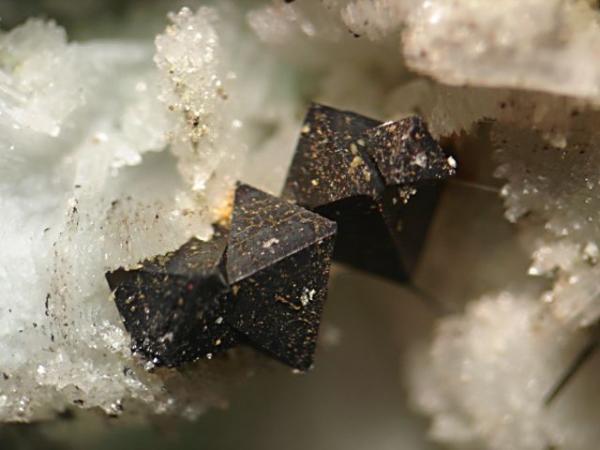 Magnetita
(Autor: Felipe G. Miñarro)