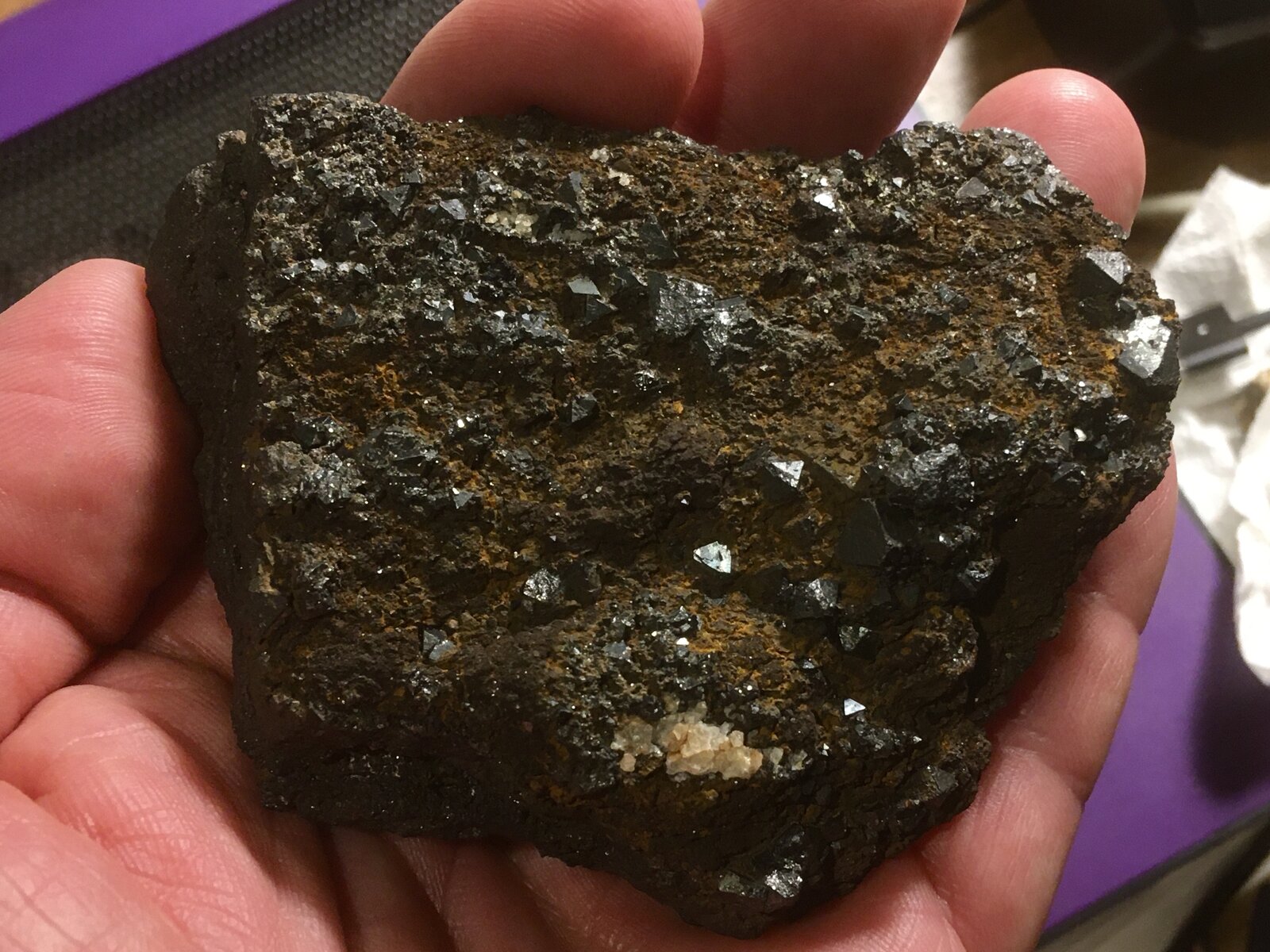 Magnetita
Cabezo Gordo, Torre-Pacheco, Comarca Campo de Cartagena, Región de Murcia (Murcia), España
10 x 9 cm
(Autor: Matias Raja)