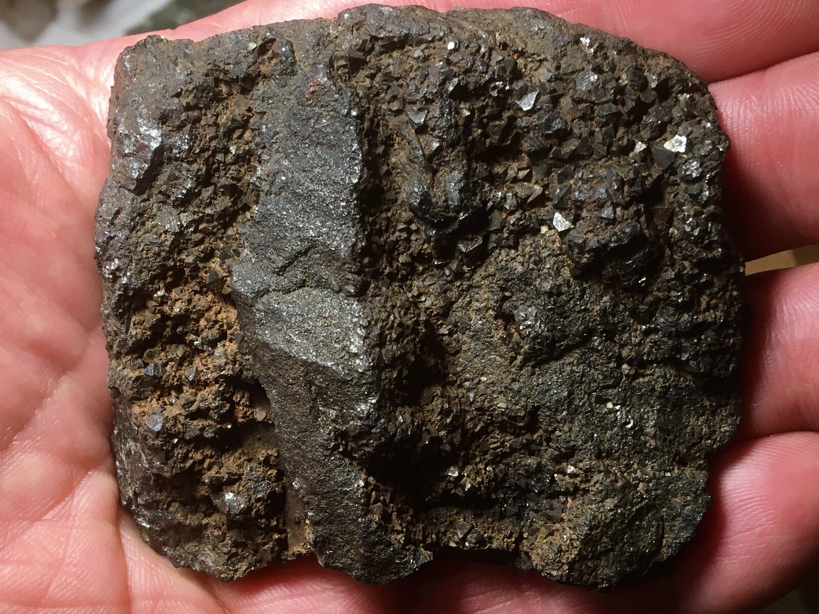 Magnetita
Cabezo Gordo, Torre-Pacheco, Comarca Campo de Cartagena, Región de Murcia (Murcia), España
7.5 x 7 cm
(Autor: Matias Raja)