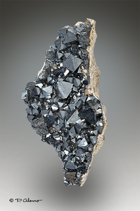 Magnetita
8cm x 4,5cm x 2,5cm
(Autor: Pere Alonso)