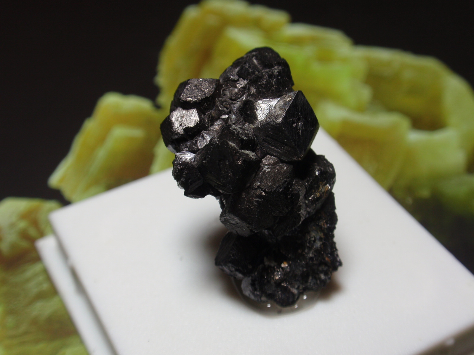 Magnetita
15x25 mm
(Autor: Ignacio)