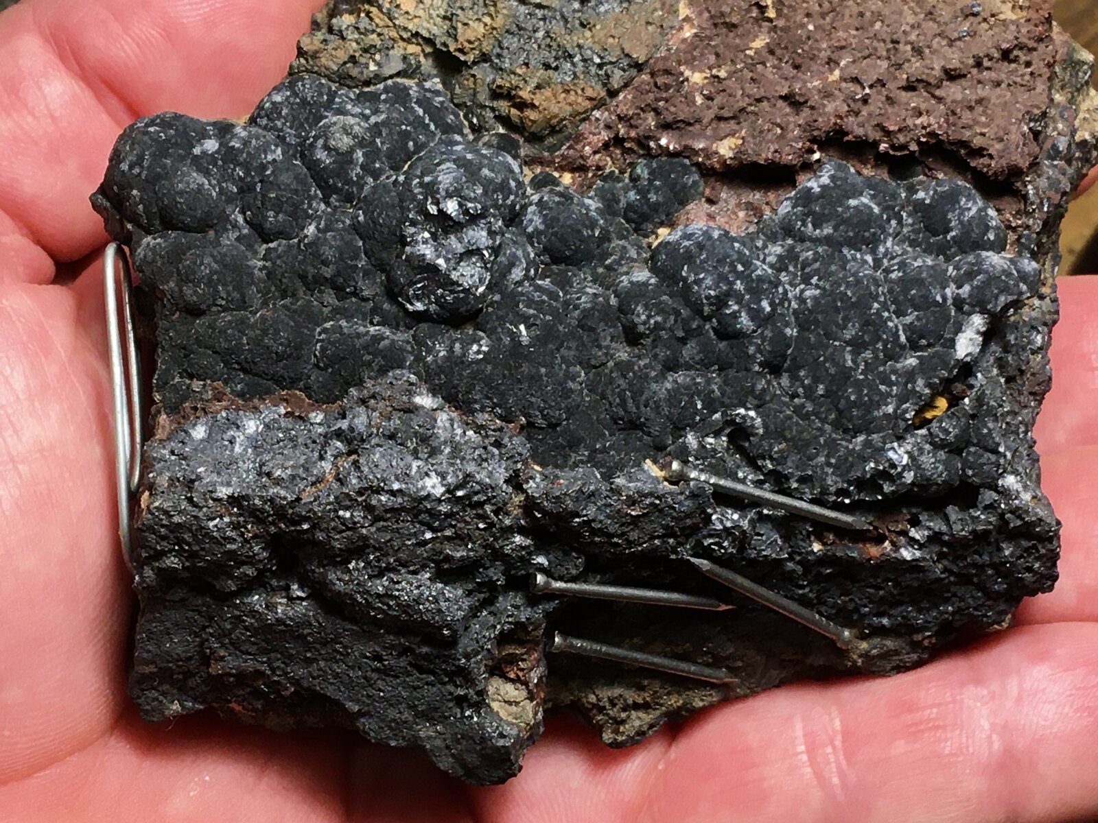 Magnetita
Corta San Valentín, Sancti Espíritu, Sierra Minera de Cartagena-La Unión, La Unión, Comarca Campo de Cartagena, Región de Murcia (Murcia), España
10 x 9 cm
(Autor: Matias Raja)