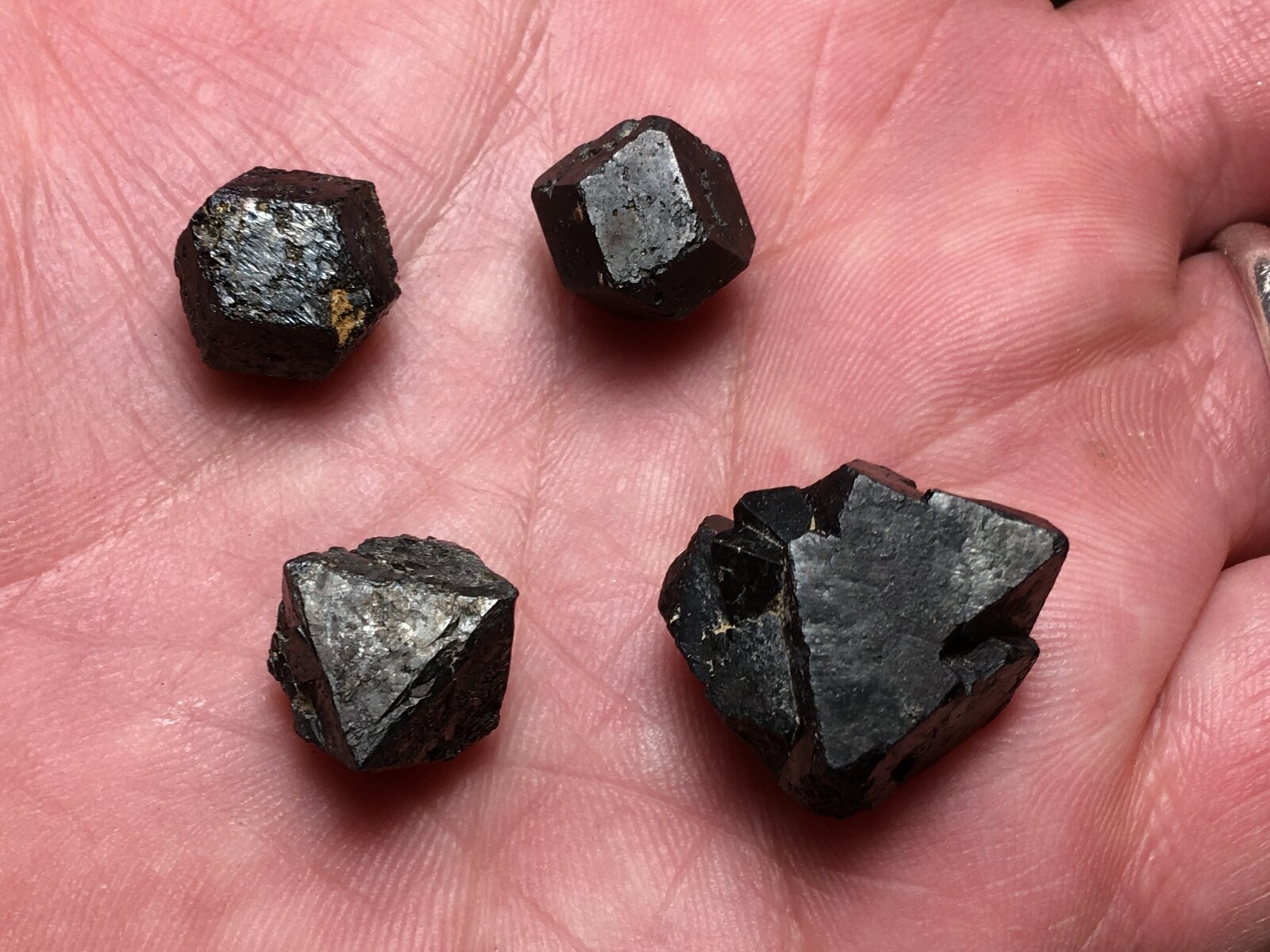 Magnetita
Ulea, Comarca Valle de Ricote, Región de Murcia (Murcia), España
Entre 1.5 y 2.4 cm diámetro
(Autor: Matias Raja)