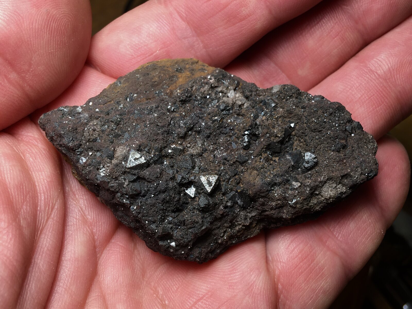 Magnetita
Cabecico del Rey, Valladolises, Murcia, Comarca Huerta de Murcia, Región de Murcia (Murcia), España
8 x 5 cm
(Autor: Matias Raja)