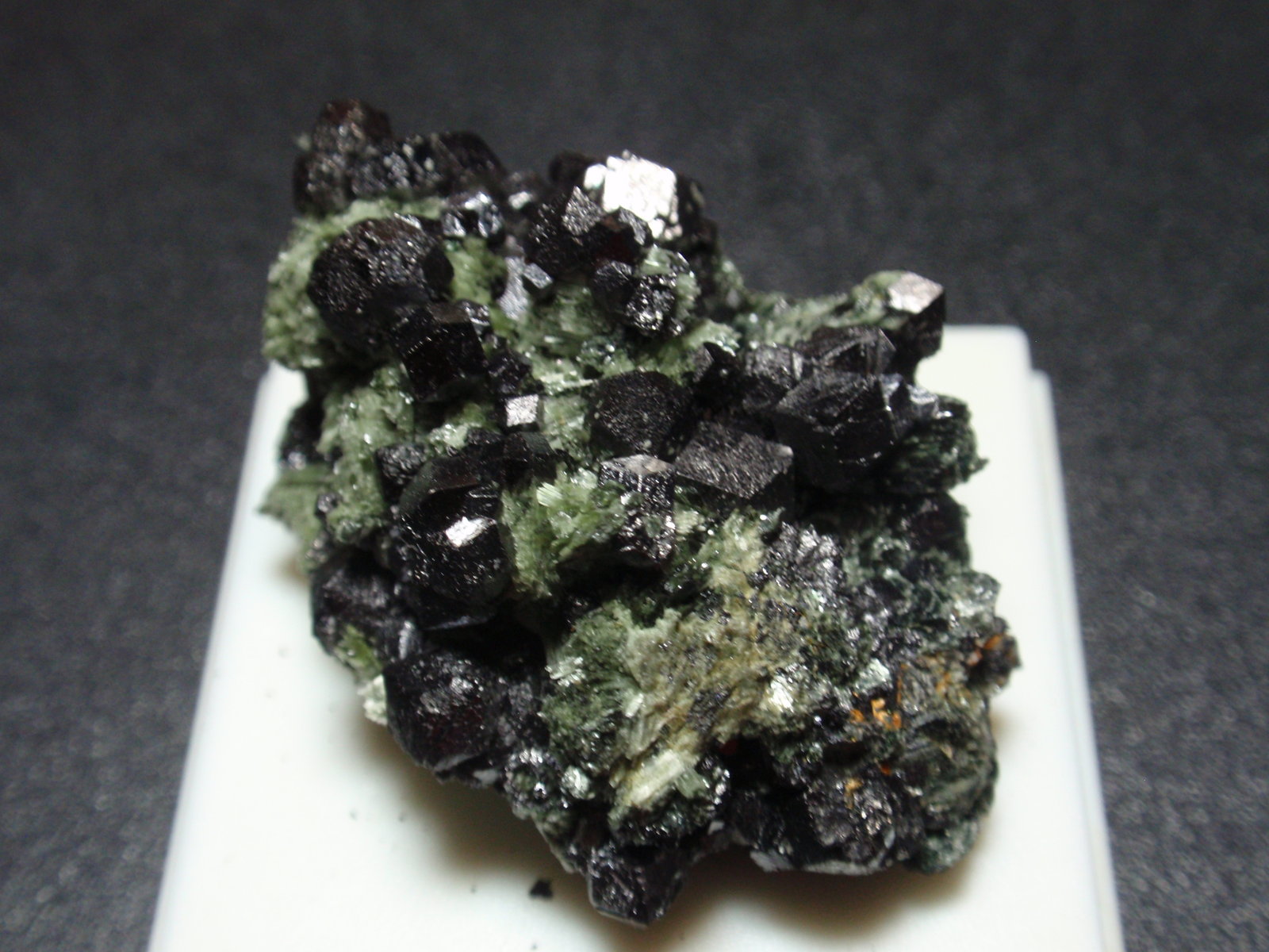 Magnetita sobre Actinolita (variedad byssolita / bisolita)
30x30 mm
(Autor: Ignacio)