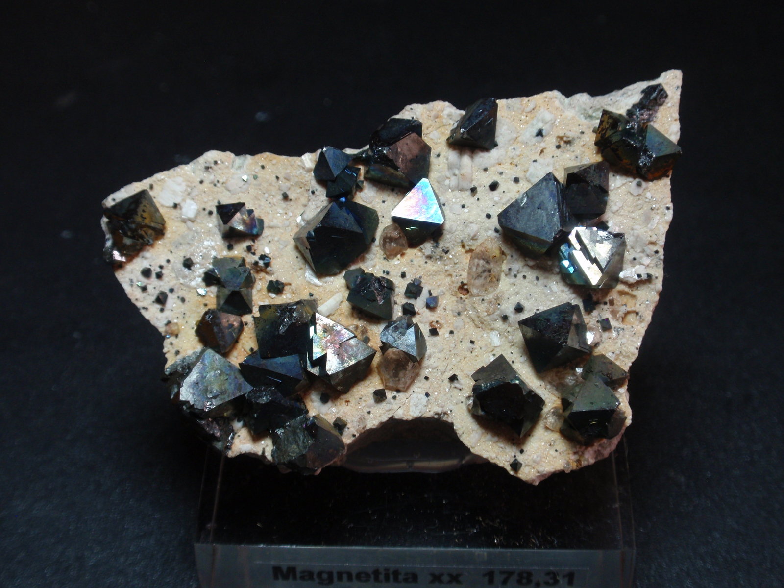 Magnetita
60x45 mm
(Autor: Ignacio)