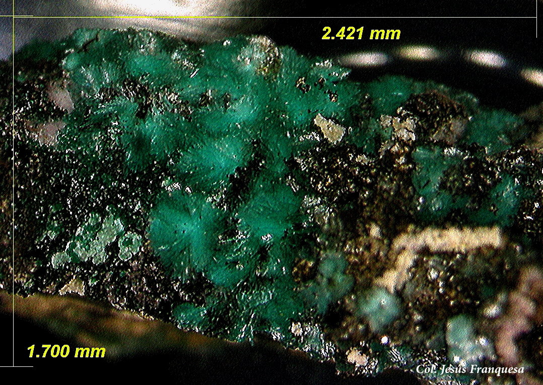 Mahnertita.
2´42 m 1´70 mm.
(Autor: Jesus Franquesa Baucells)