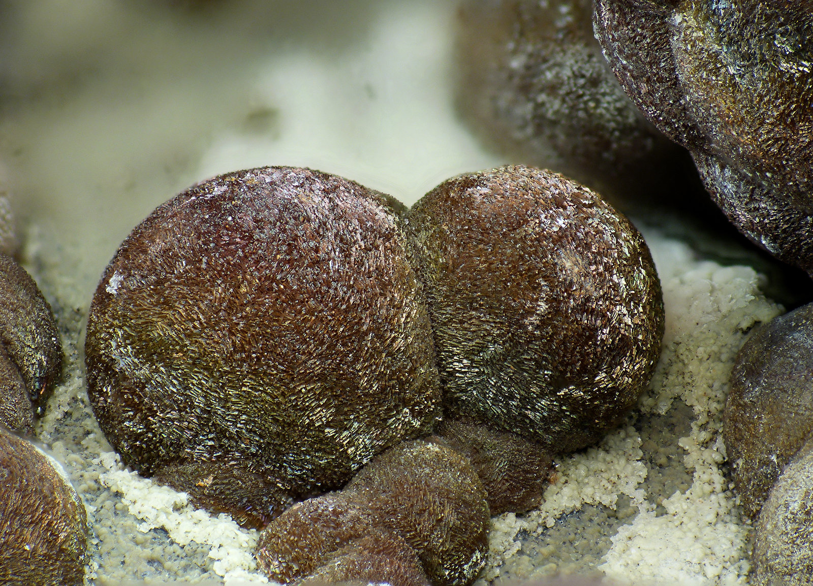 Calcita, Goethita, limonita.
2 mm. los cristales
(Autor: canada)