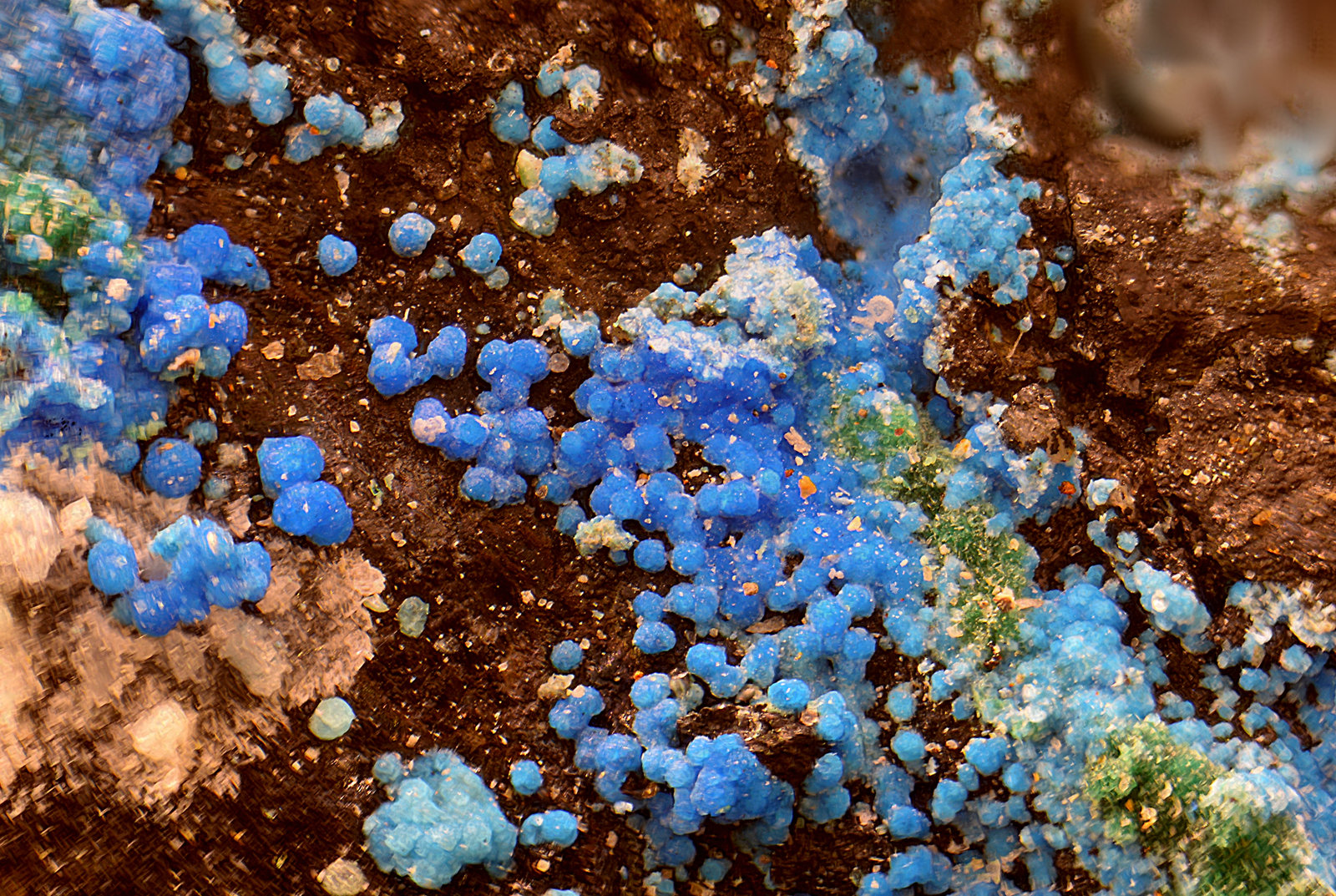 Cianotriquita
Campo de visión de 3 mm
(Autor: Antonio Carmona)