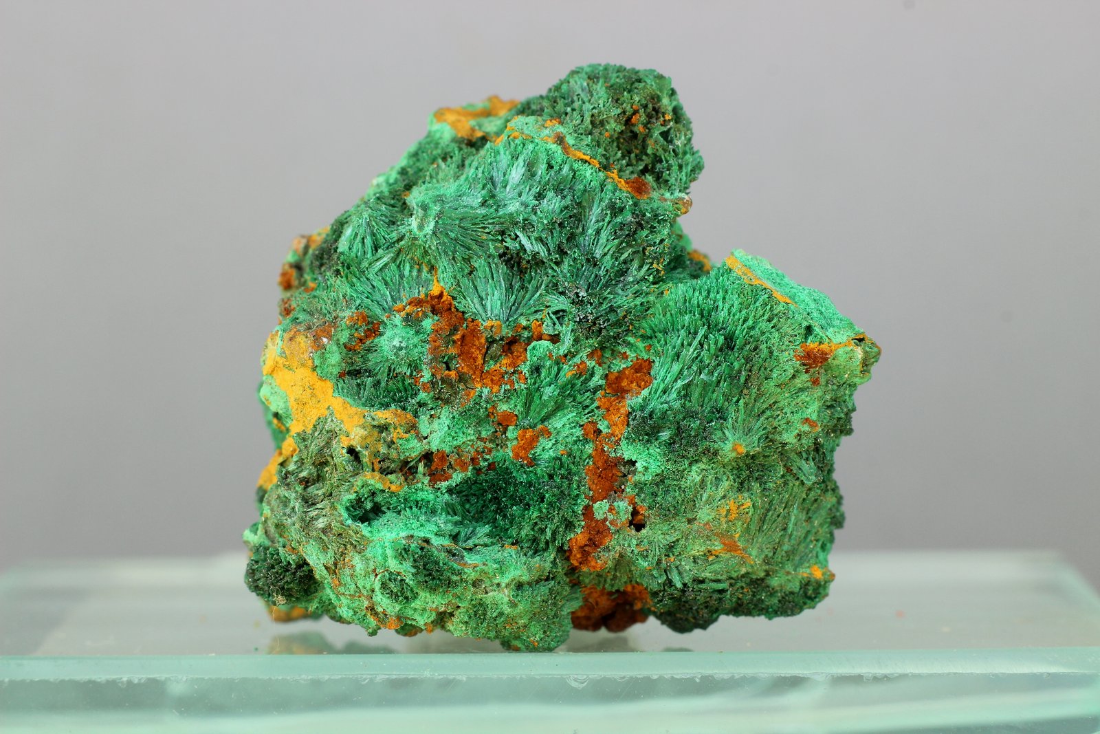 Malaquita
44x34 mm
(Autor: Juan Espino)