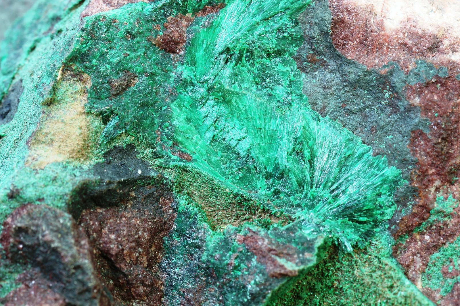 Malaquita
150x75 mm
(Autor: Juan Espino)