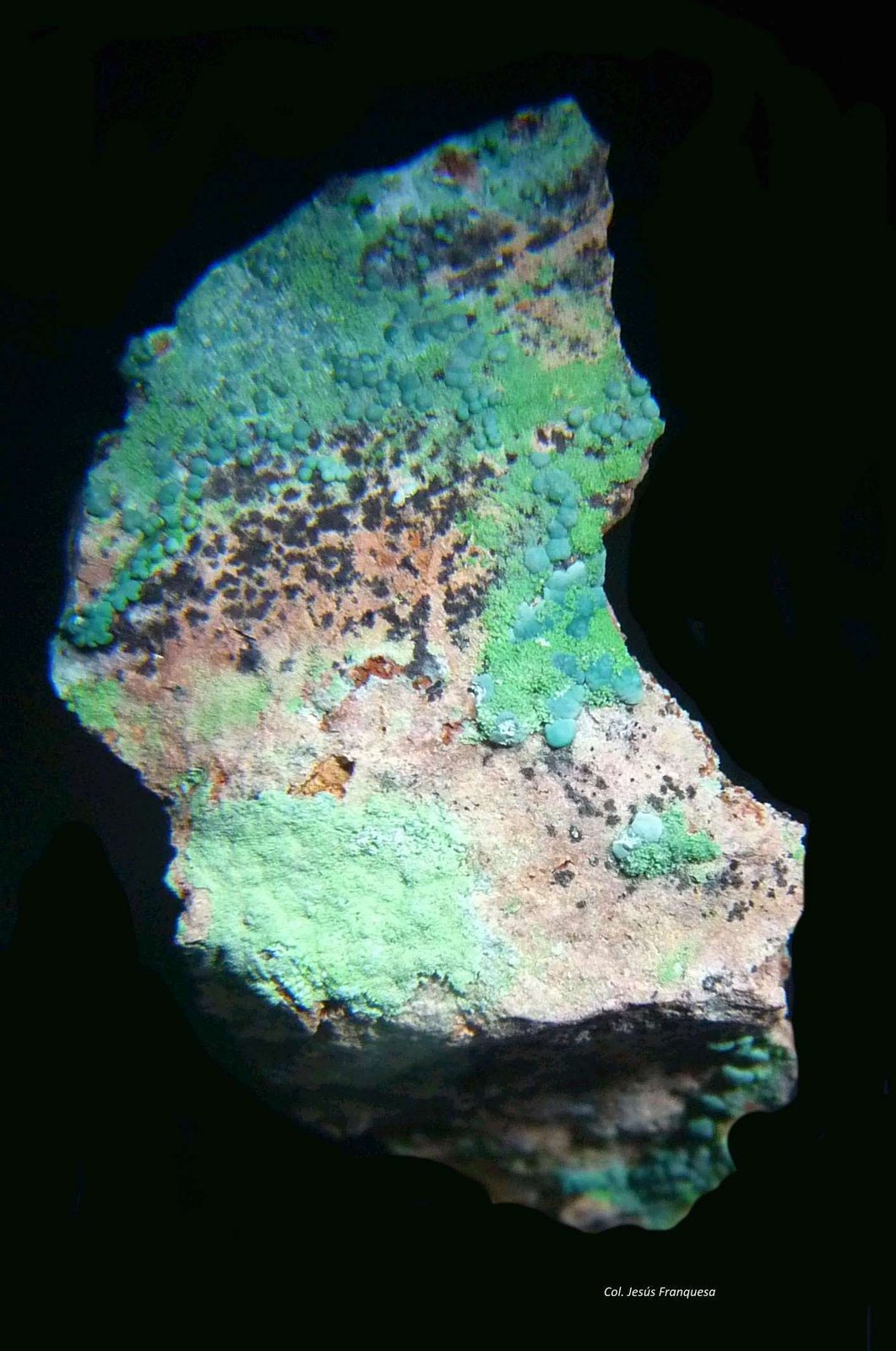 Malaquita y Conicalcita.
54x31 mm.
(Autor: Jesus Franquesa Baucells)