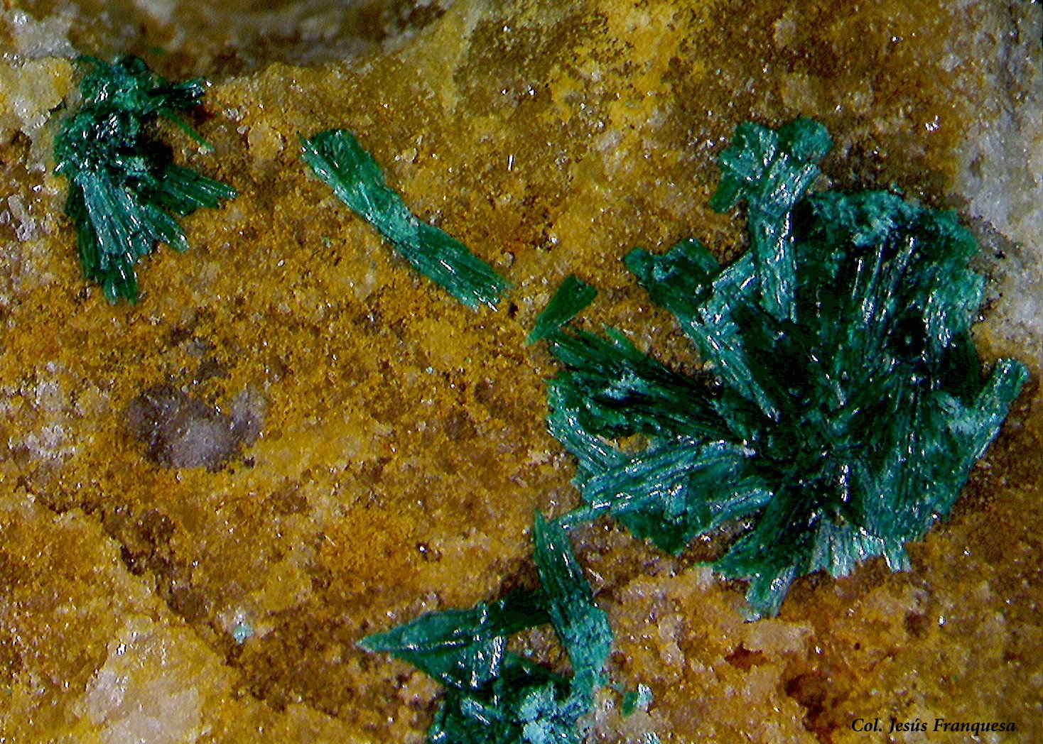 Malaquita.
5.99x4.07 mm.
(Autor: Jesus Franquesa Baucells)