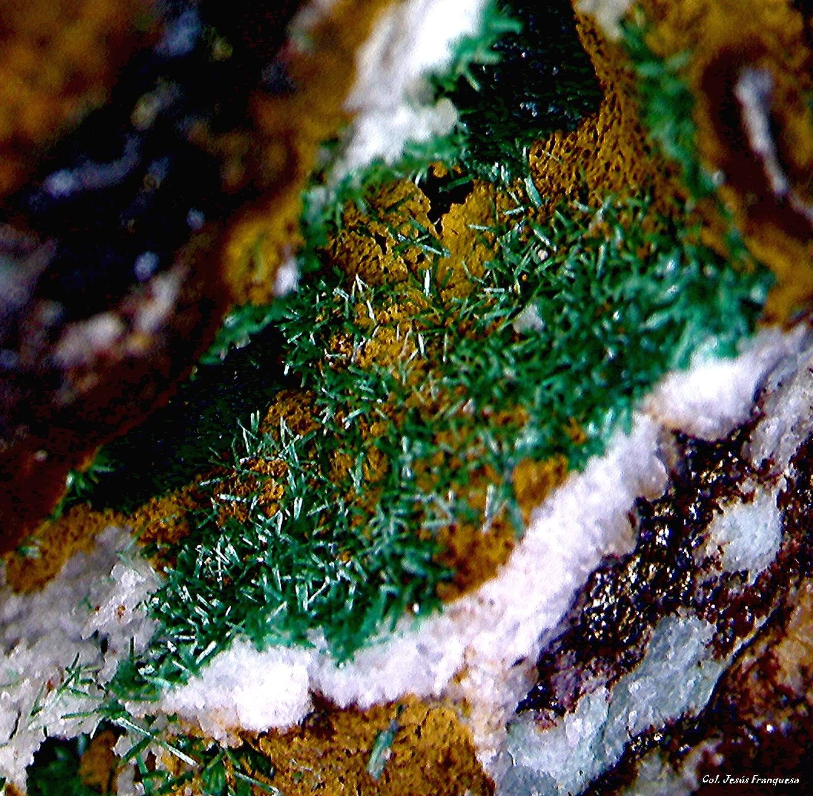 Malaquita.
4´262 x 2´723 mm.
(Autor: Jesus Franquesa Baucells)