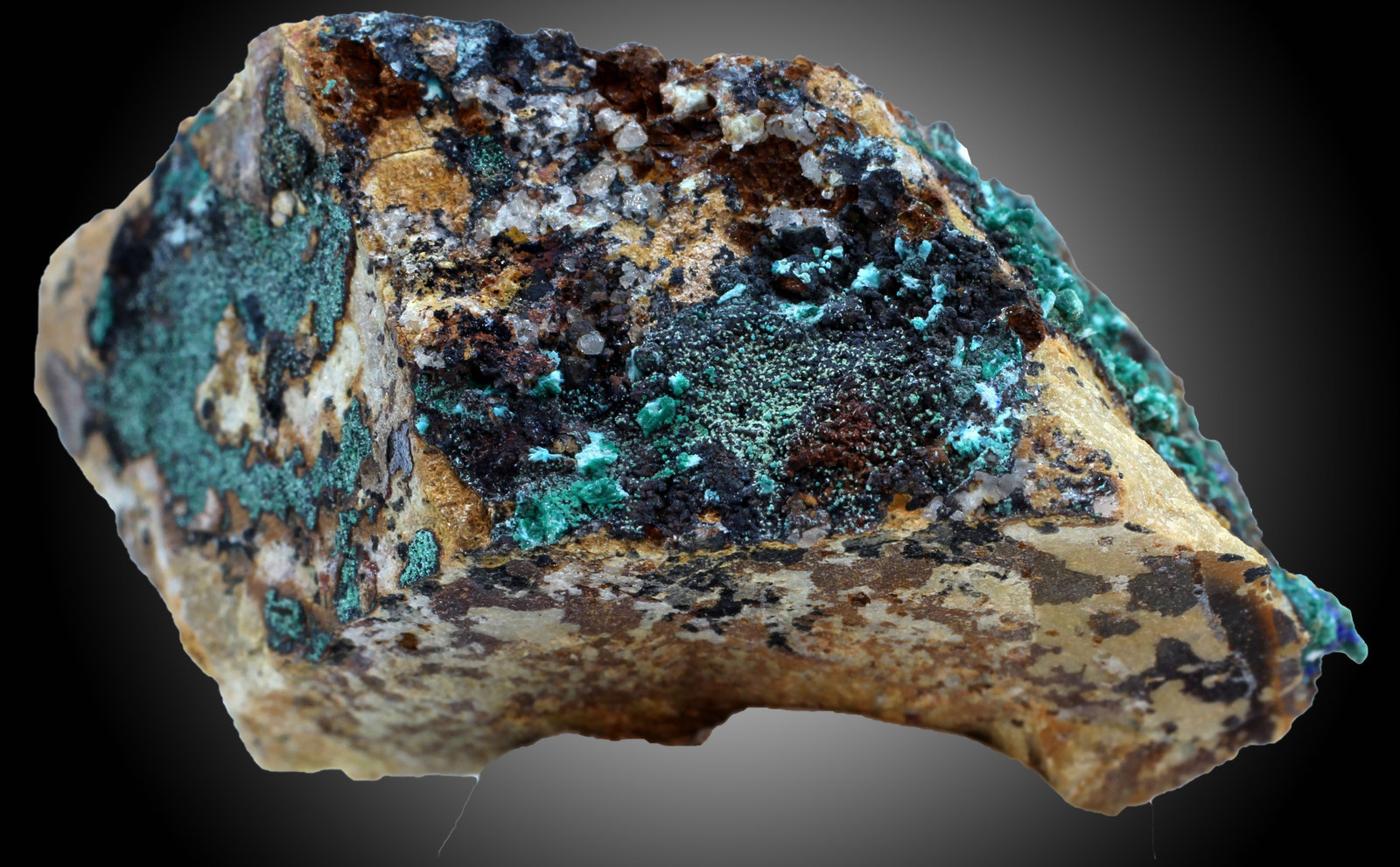 Malaquita, Azurita y Pseudomalaquita
27 x 16 x 16 mm.
(Autor: José Luis Zamora)