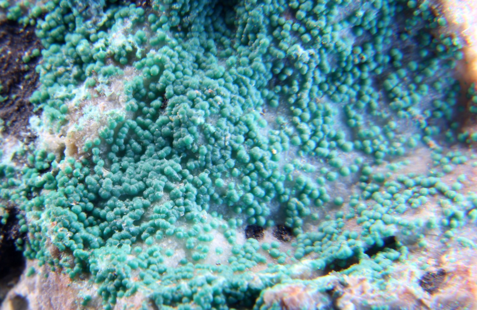 Malaquita
23 x 22 x 21 mm
(Autor: José Luis Zamora)