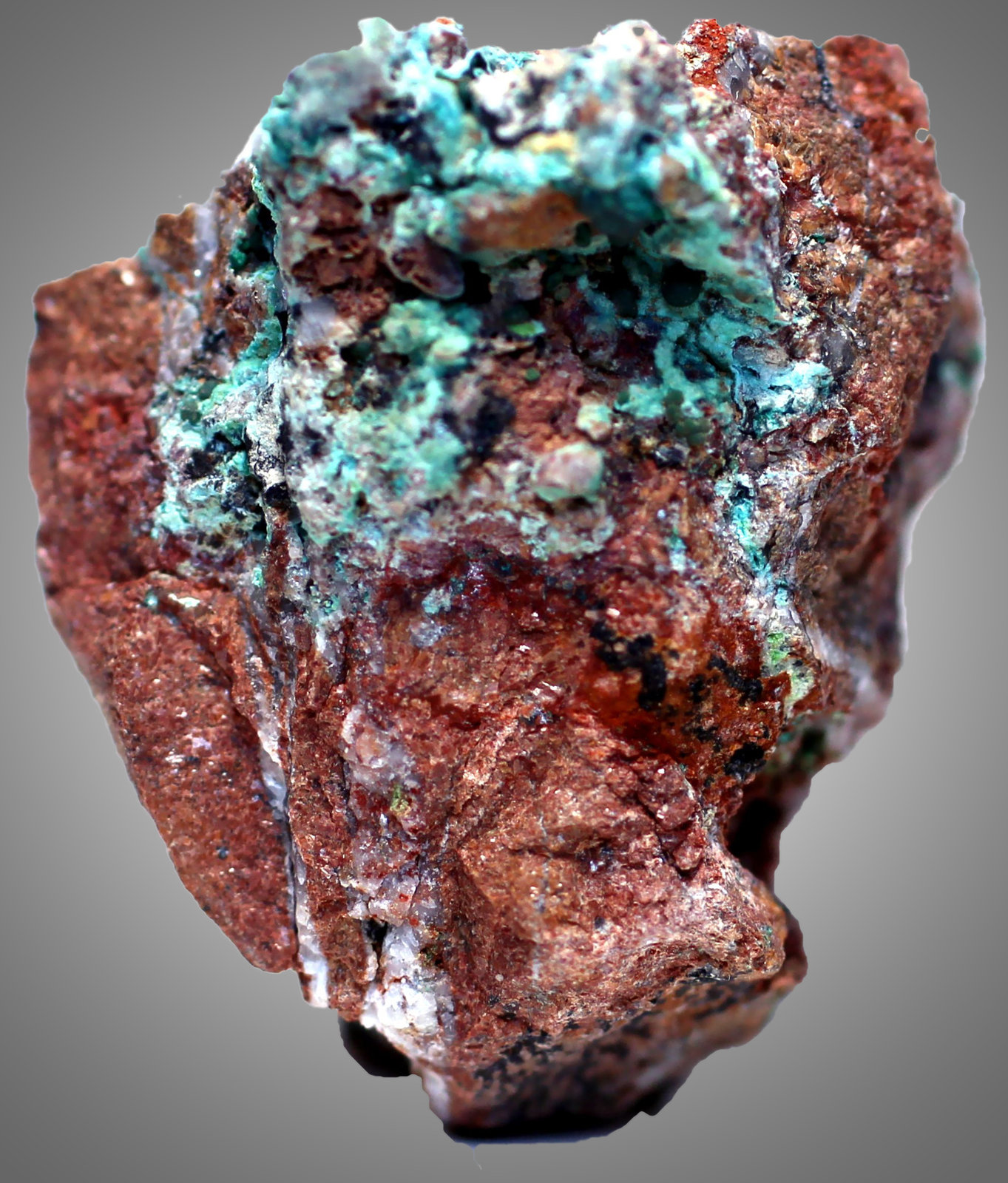 Malaquita
28 x 21 x 16 mm
(Autor: José Luis Zamora)