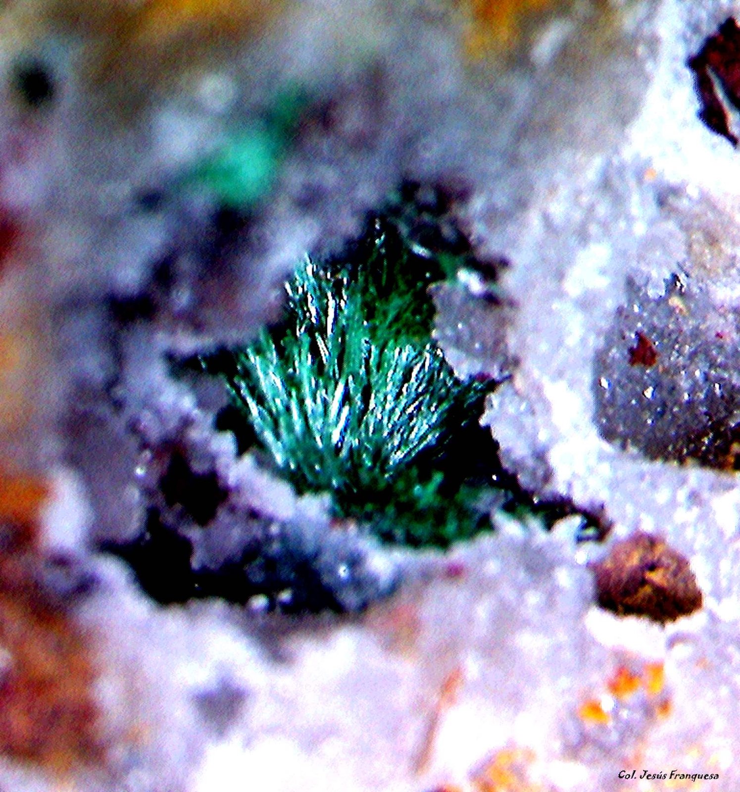 Malaquita.
1´308 x 1´231 mm.
(Autor: Jesus Franquesa Baucells)