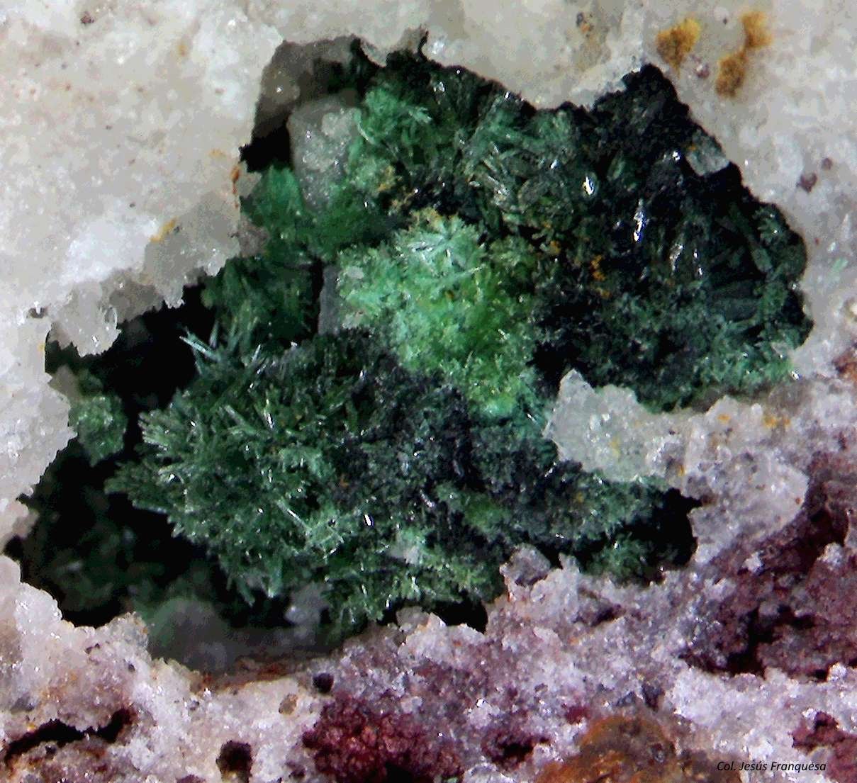 Malaquita y Cerusita.
3´260 x 2´621 mm.
(Autor: Jesus Franquesa Baucells)