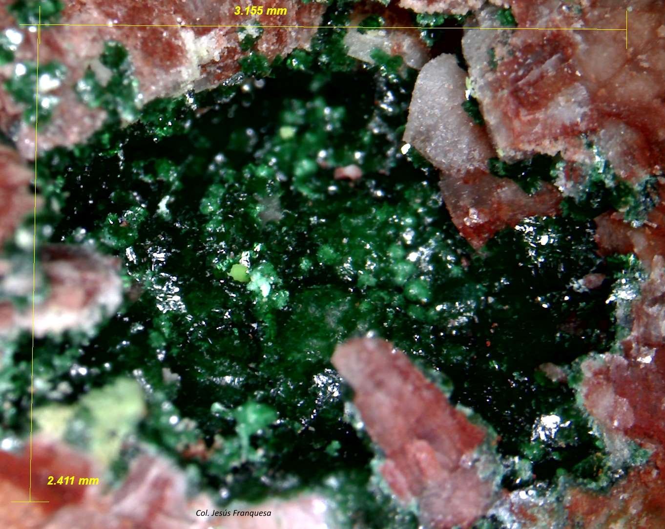 Malaquita.
3´155 x 2´411 mm.
(Autor: Jesus Franquesa Baucells)