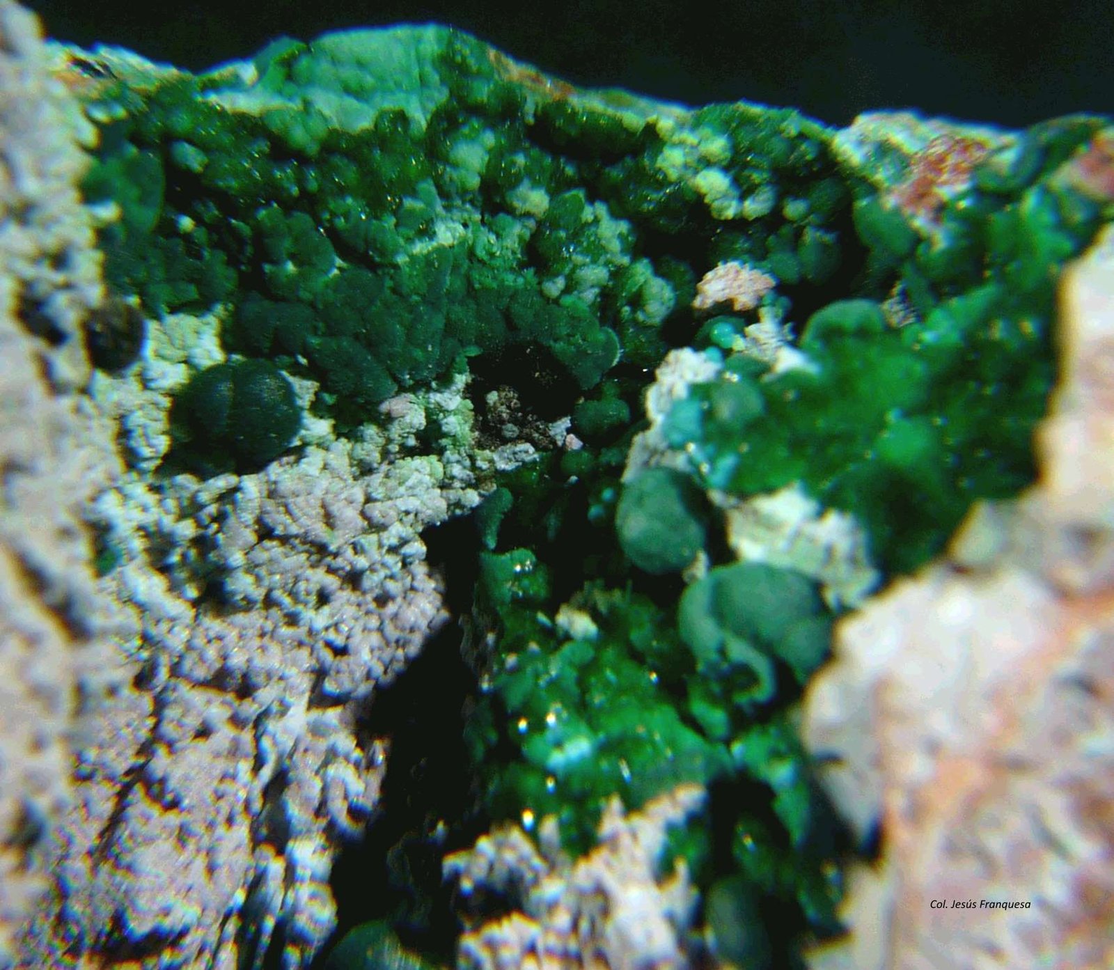 Malaquita y Philipsburgita.
40x30 mm.
(Autor: Jesus Franquesa Baucells)