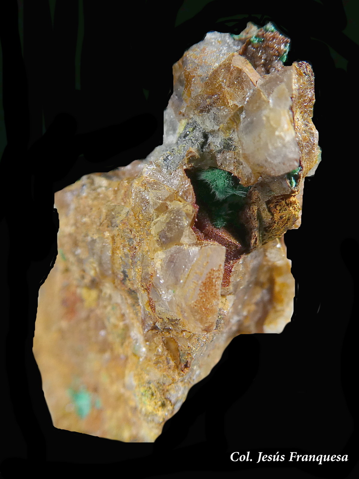 Malaquita y Carminita.
24x17 mm.
(Autor: Jesus Franquesa Baucells)
