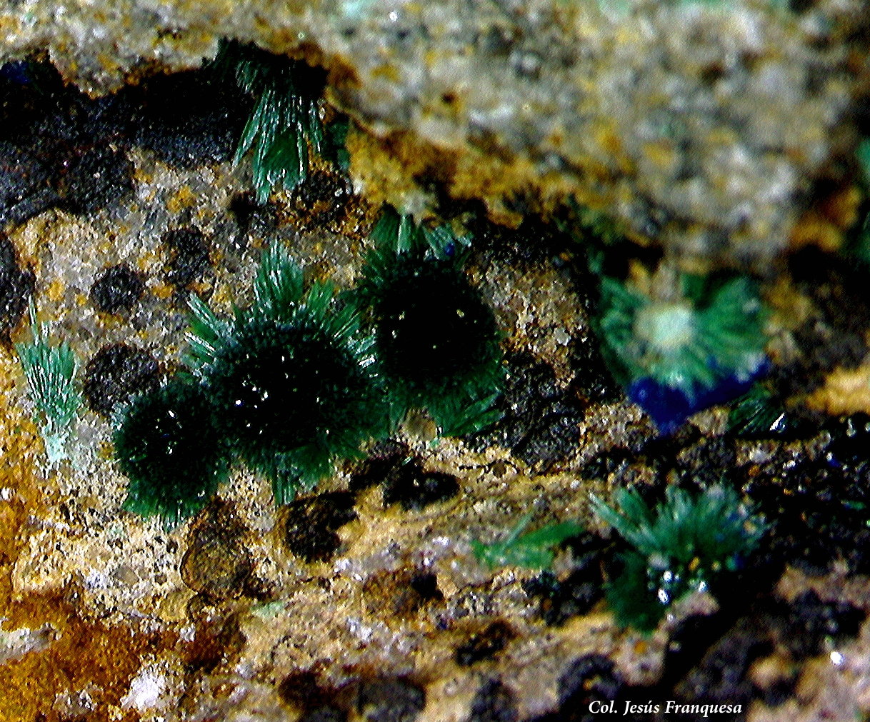 Malaquita.
2´92x1´90 mm.
(Autor: Jesus Franquesa Baucells)