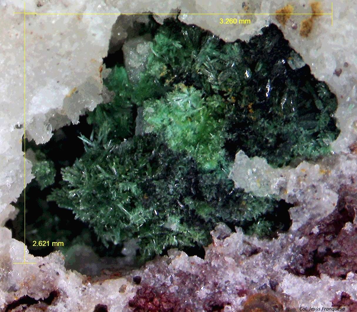 Malaquita y Cerusita.
3´260 x 2´621 mm.
(Autor: Jesus Franquesa Baucells)
