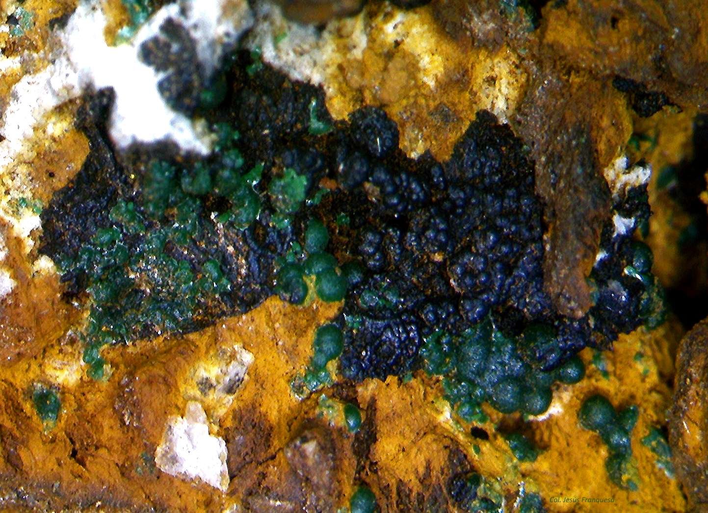 Malaquita y Goethita.
4´066 x 2´572 mm.
(Autor: Jesus Franquesa Baucells)