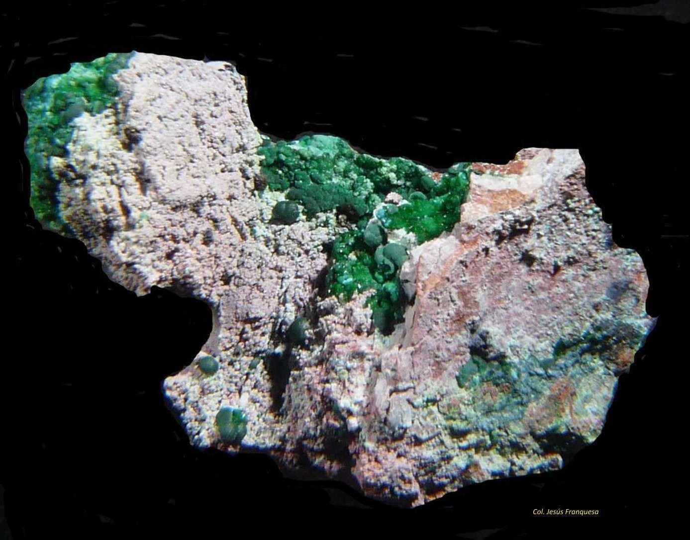 Malaquita y Philipsburgita.
40x30 mm.
(Autor: Jesus Franquesa Baucells)