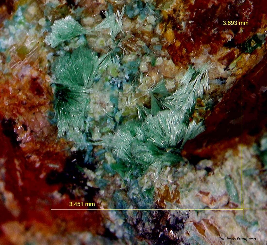 Malaquita.
3´693 x 3´451 mm.
(Autor: Jesus Franquesa Baucells)