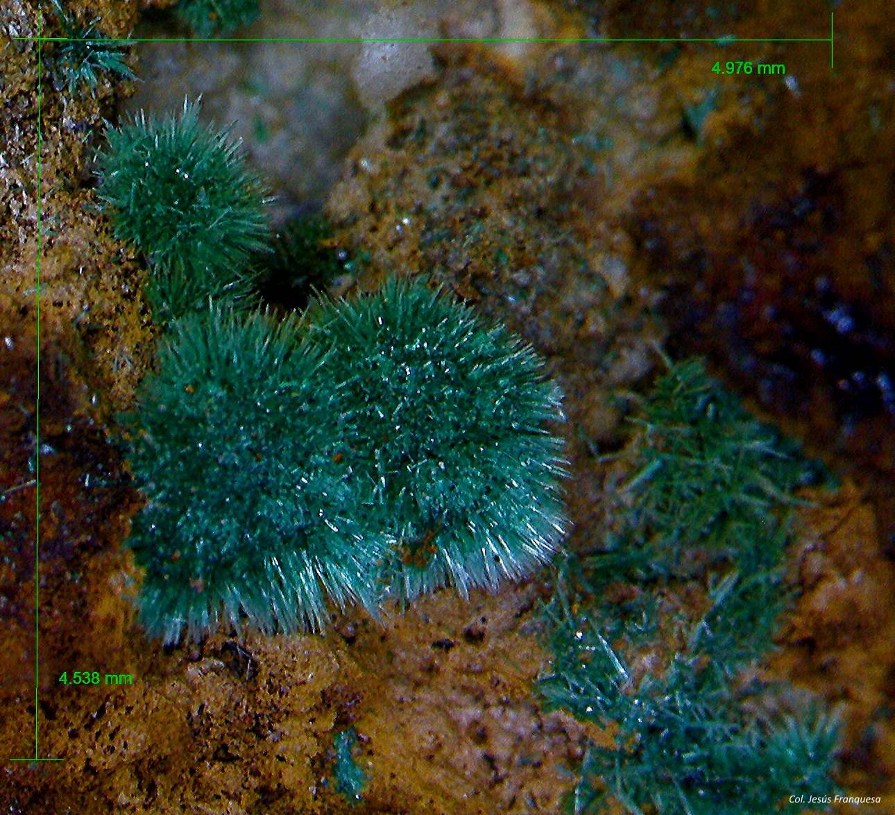 Malaquita.
4´976 x 4´538 mm.
(Autor: Jesus Franquesa Baucells)