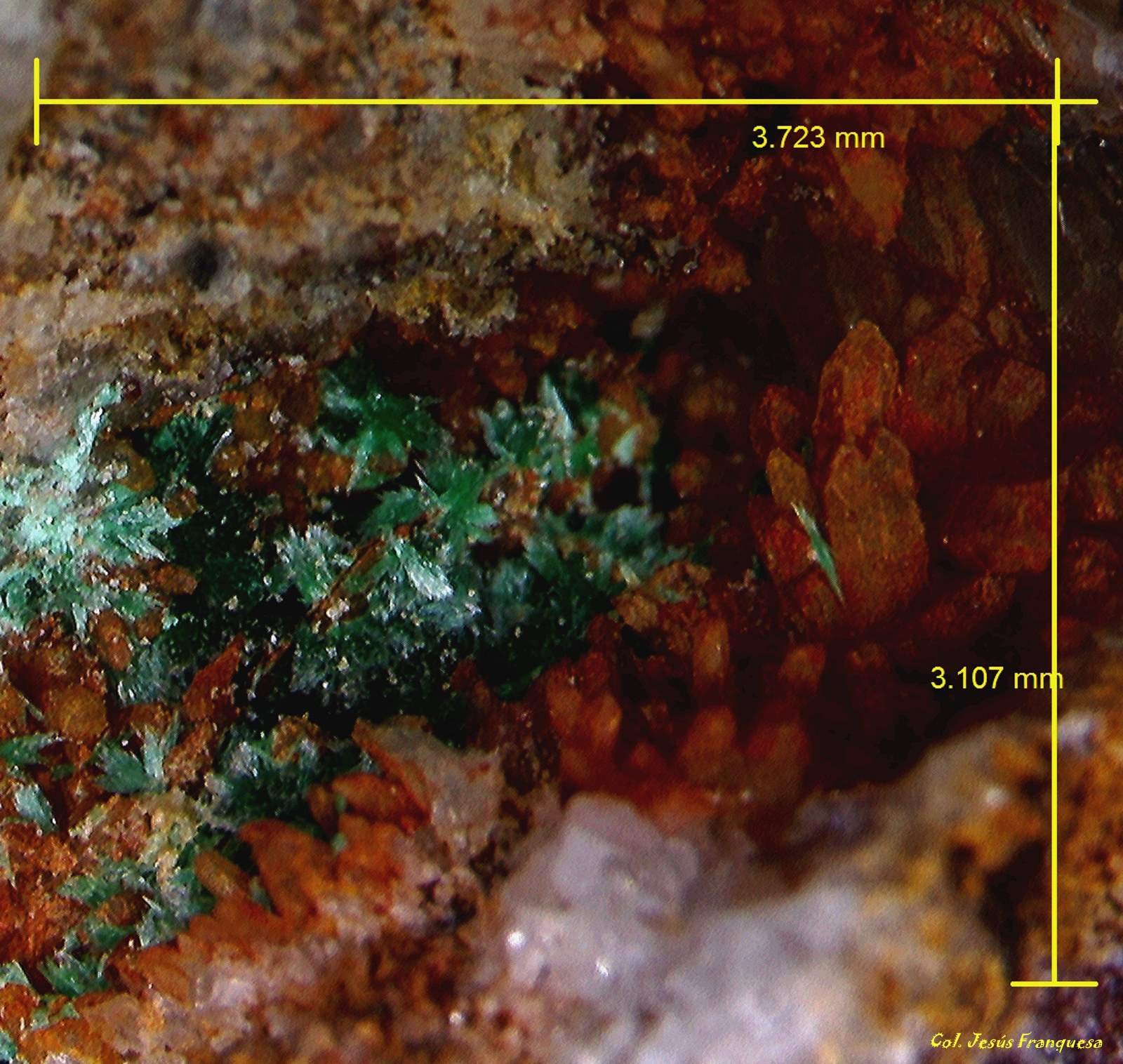 Malaquita y Cuarzo.
3´723 x 3´107 mm.
(Autor: Jesus Franquesa Baucells)