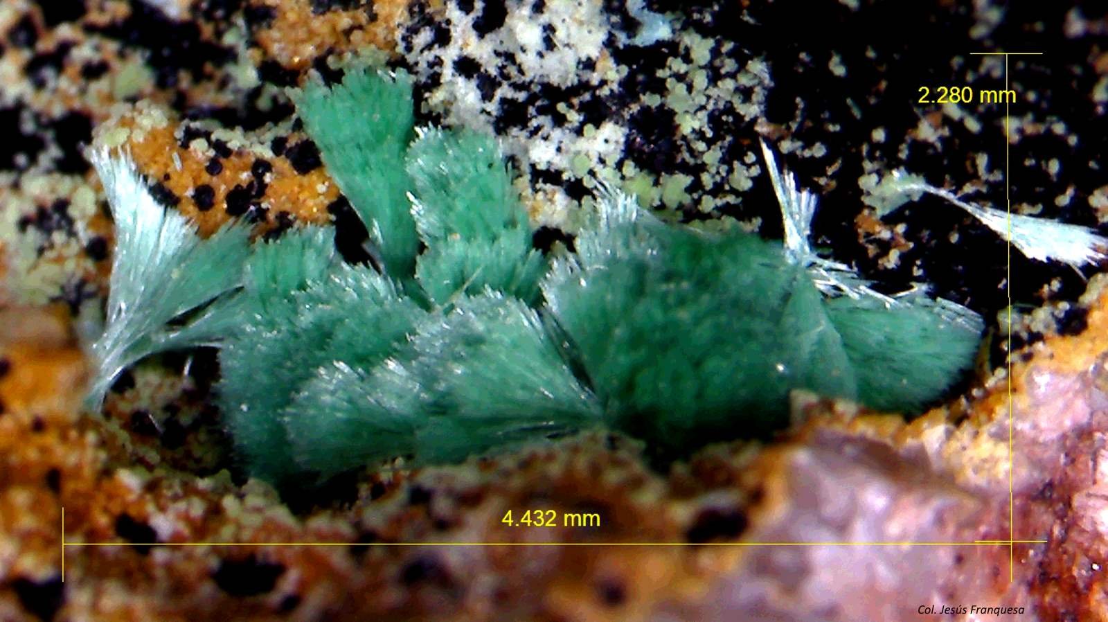Malaquita.
4´432 x 2´280 mm.
(Autor: Jesus Franquesa Baucells)