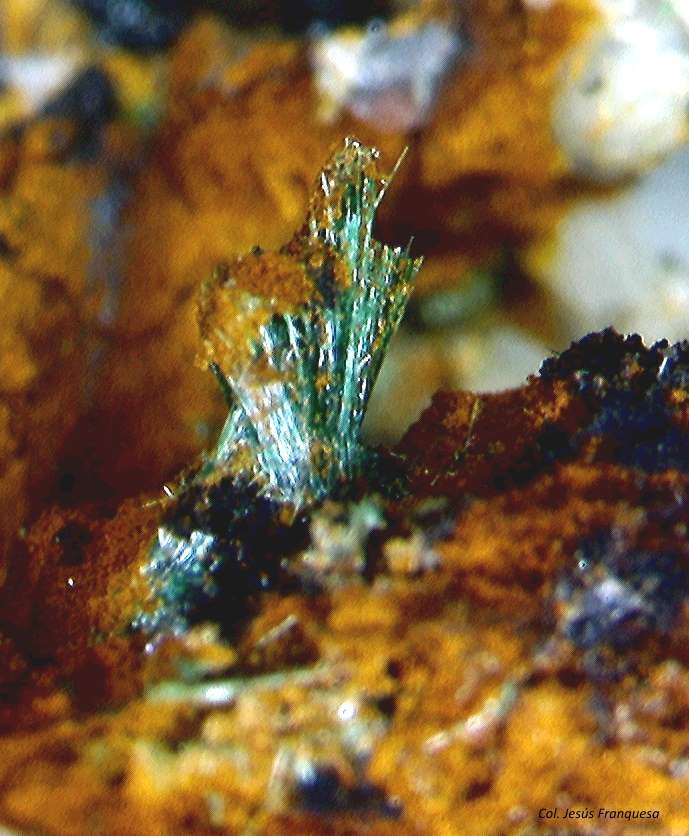 Malaquita y Goethita.
1´531 x 0´959 mm.
(Autor: Jesus Franquesa Baucells)