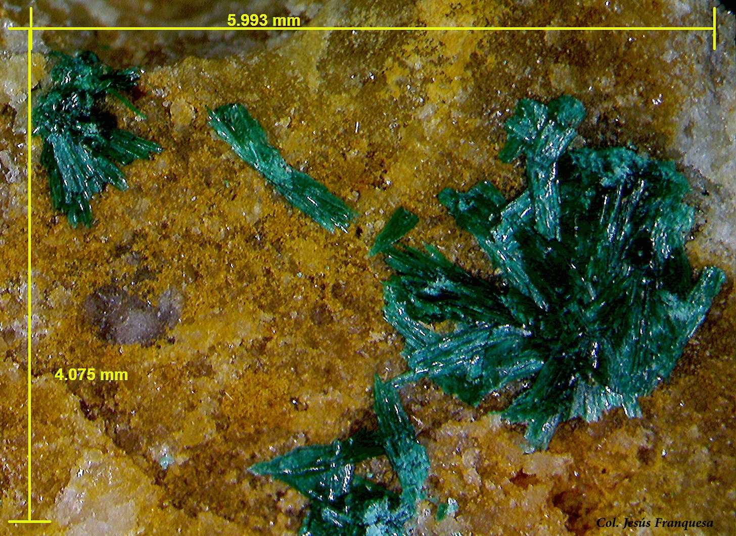 Malaquita.
5.99x4.07 mm.
(Autor: Jesus Franquesa Baucells)