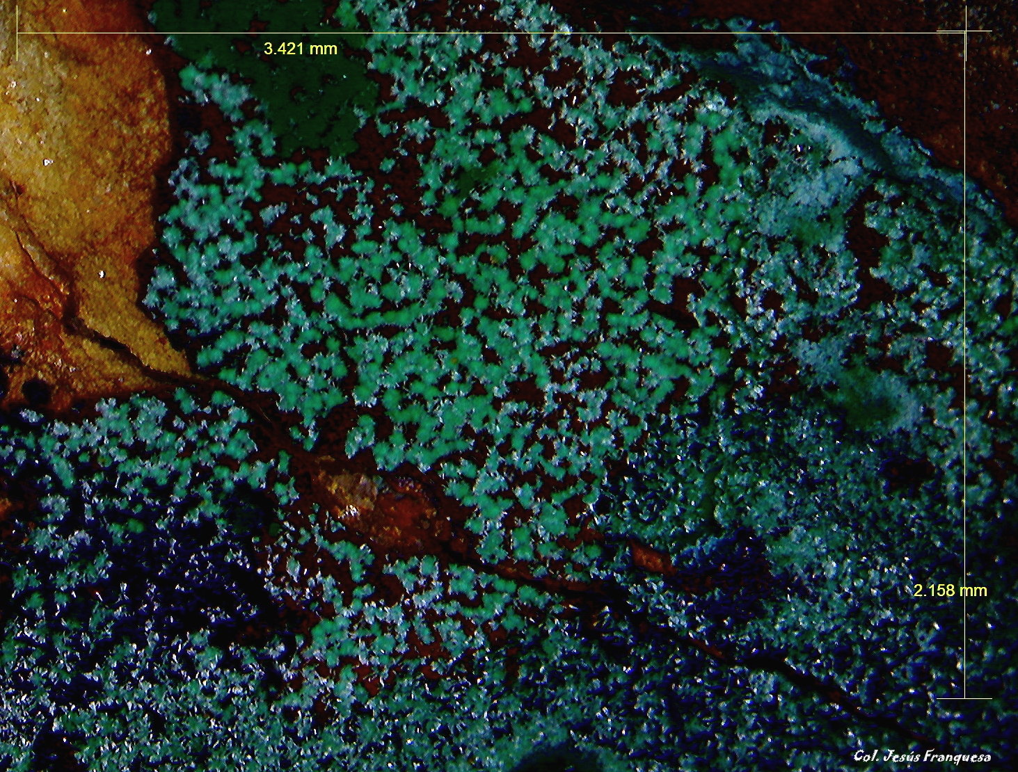 Malaquita.
3´421 x 2´158 mm.
(Autor: Jesus Franquesa Baucells)