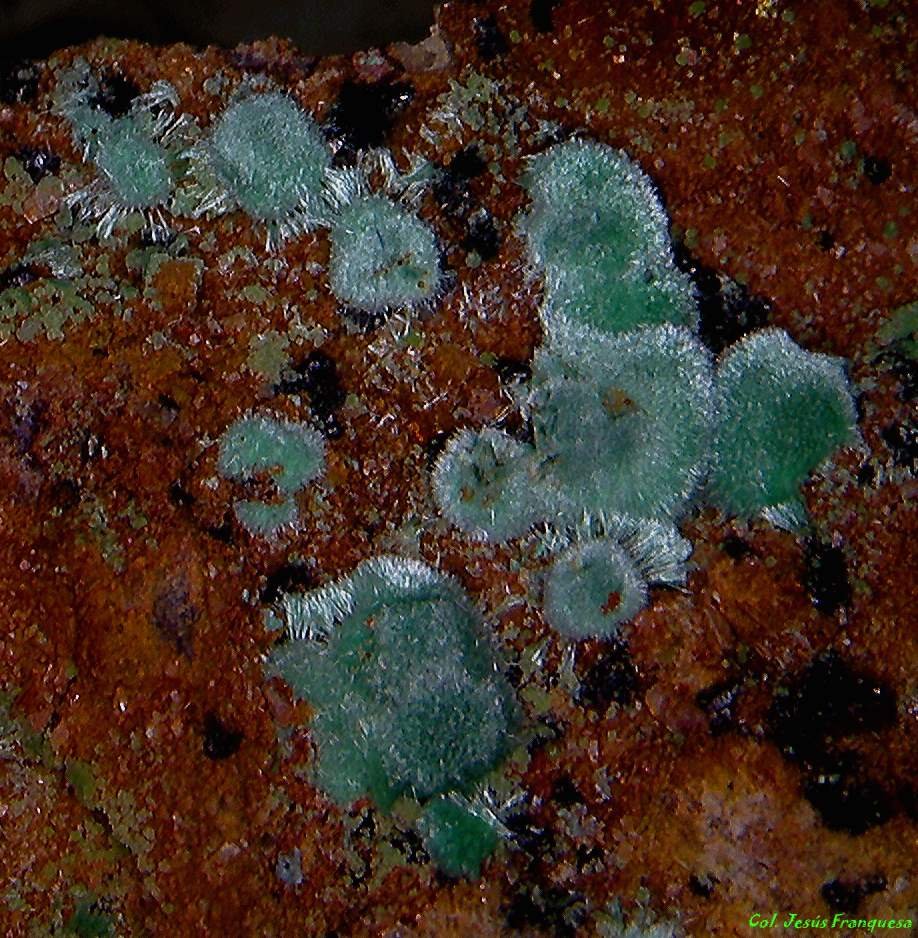 Malaquita.
4´325 x 3´850 mm.
(Autor: Jesus Franquesa Baucells)