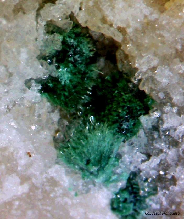 Malaquita y Cuarzo.
0´668 x 0´551 mm.
(Autor: Jesus Franquesa Baucells)