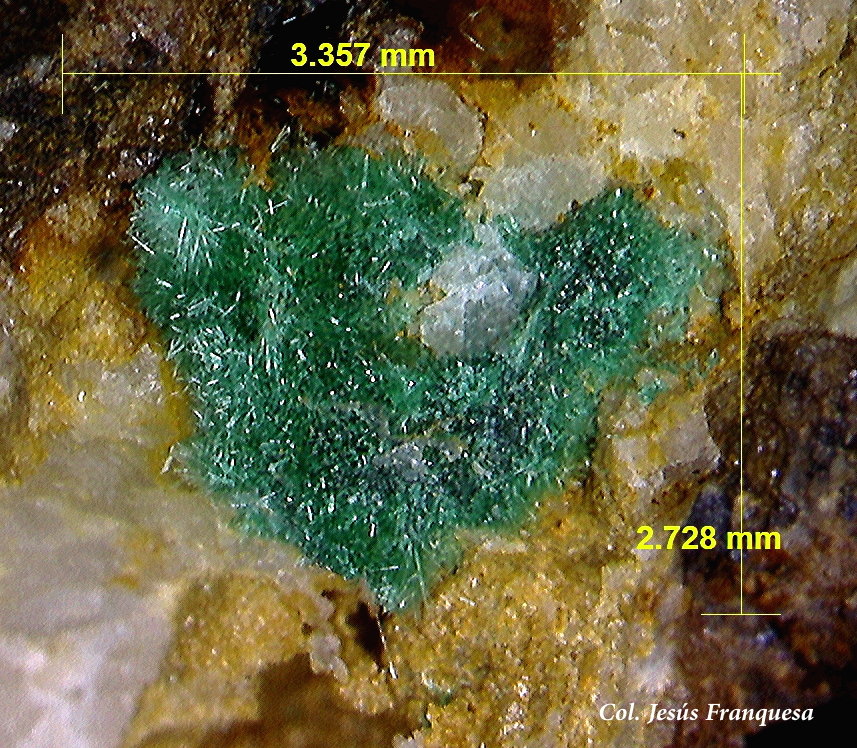 Malaquita.
3´35 x 2´72 mm.
(Autor: Jesus Franquesa Baucells)