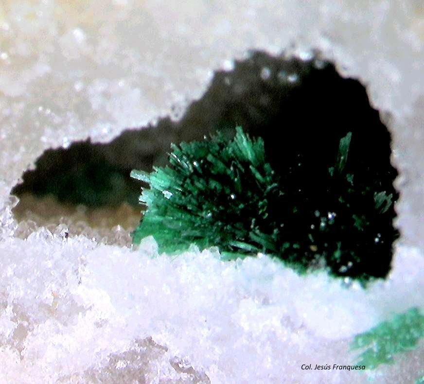 Malaquita y Cuarzo.
0´799 x 0´512 mm.
(Autor: Jesus Franquesa Baucells)