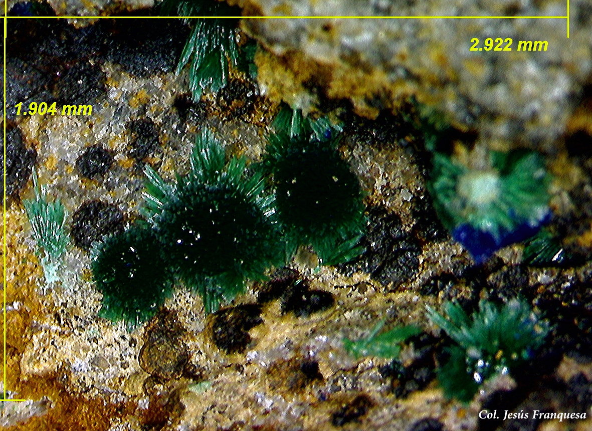 Malaquita.
2´92x1´90 mm.
(Autor: Jesus Franquesa Baucells)