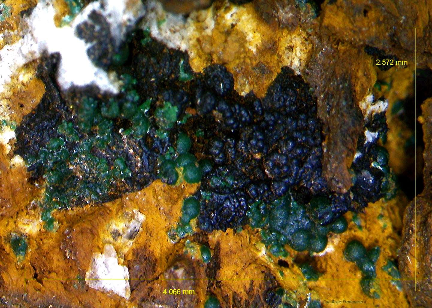Malaquita y Goethita.
4´066 x 2´572 mm.
(Autor: Jesus Franquesa Baucells)