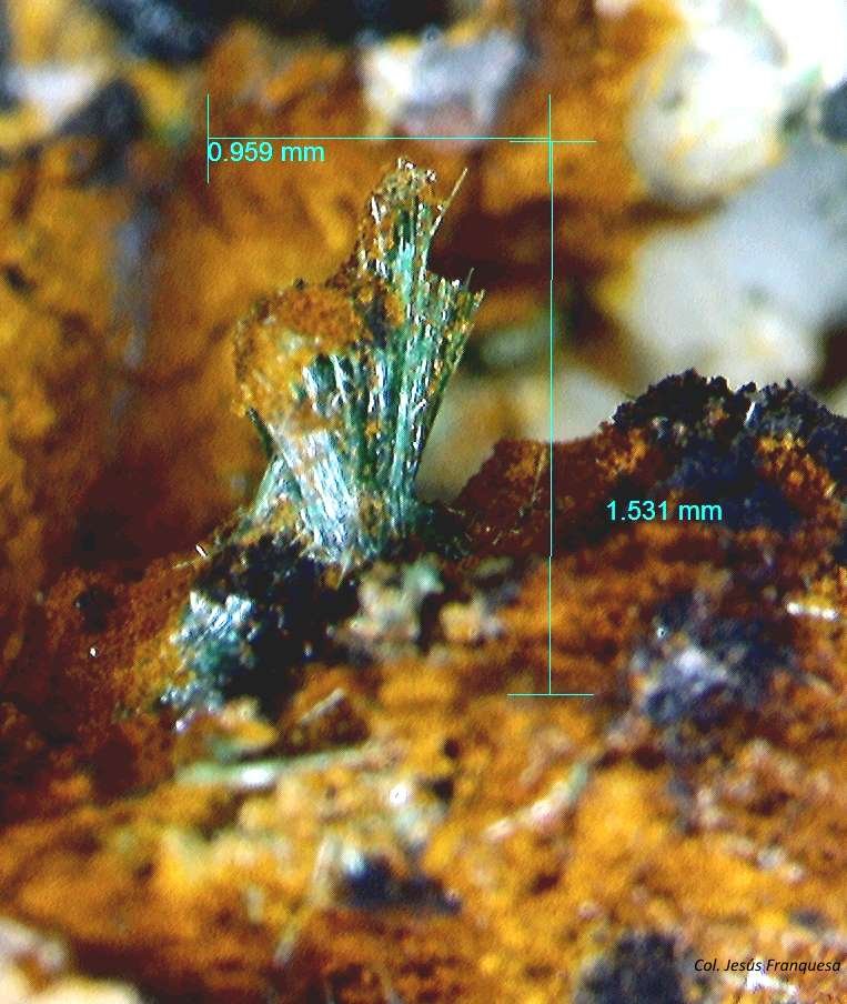 Malaquita y Goethita.
1´531 x 0´959 mm.
(Autor: Jesus Franquesa Baucells)