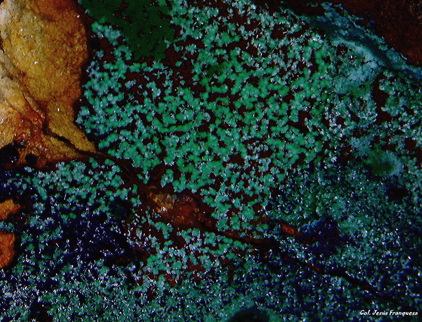 Malaquita.
3´421 x 2´158 mm.
(Autor: Jesus Franquesa Baucells)
