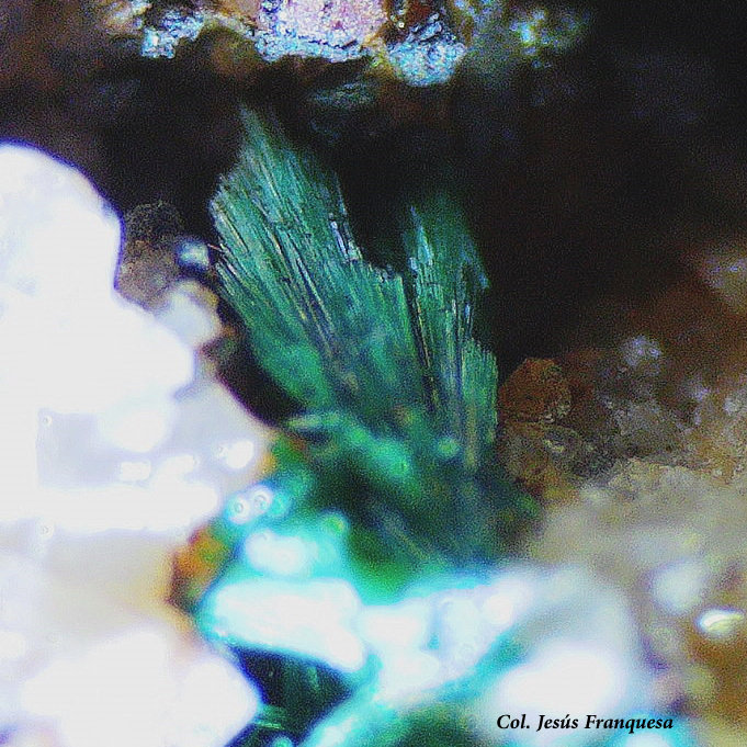 Malaquita.
Fvo4
(Autor: Jesus Franquesa Baucells)