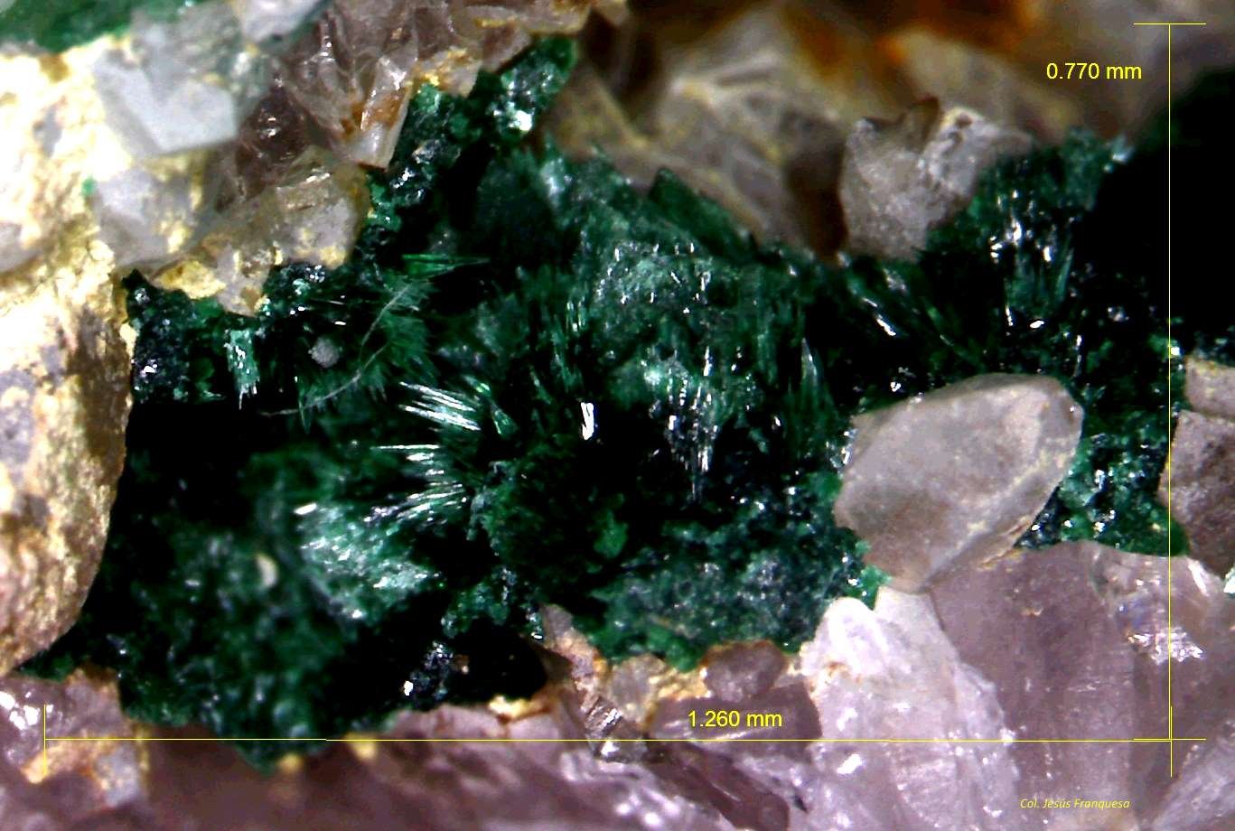 Malaquita.
1´260 x 0´770 mm.
(Autor: Jesus Franquesa Baucells)